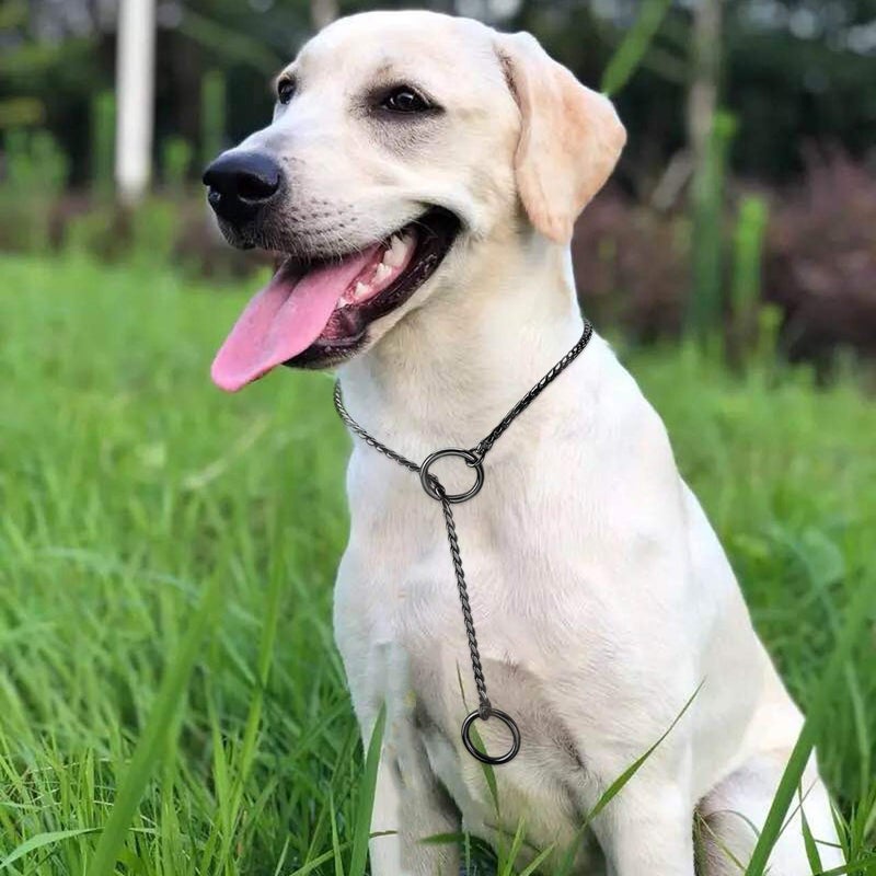 Mogoko Stainless Steel Dog Choke Chain Collar, Puppy Metal Snake Chain Slip Collar Pet Titan Training Walking Choker (Black;24.0"*5.0mm) - Image 5